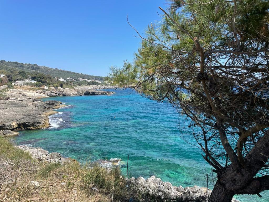 A Quai A Chiara Villa Andrano Luaran gambar