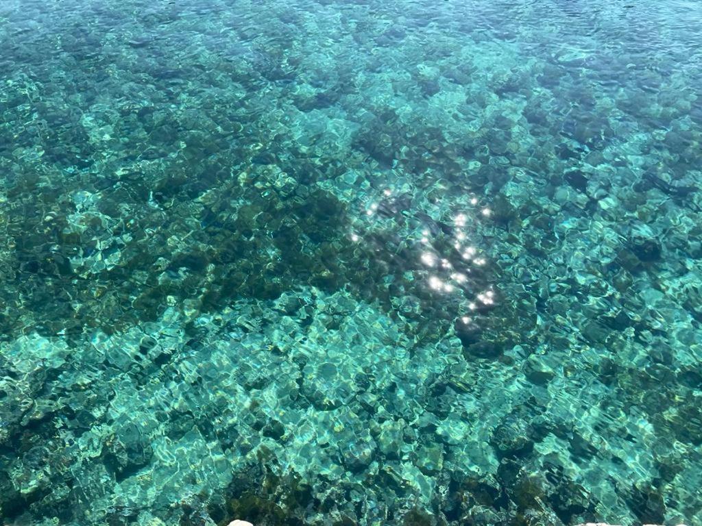 A Quai A Chiara Villa Andrano Luaran gambar